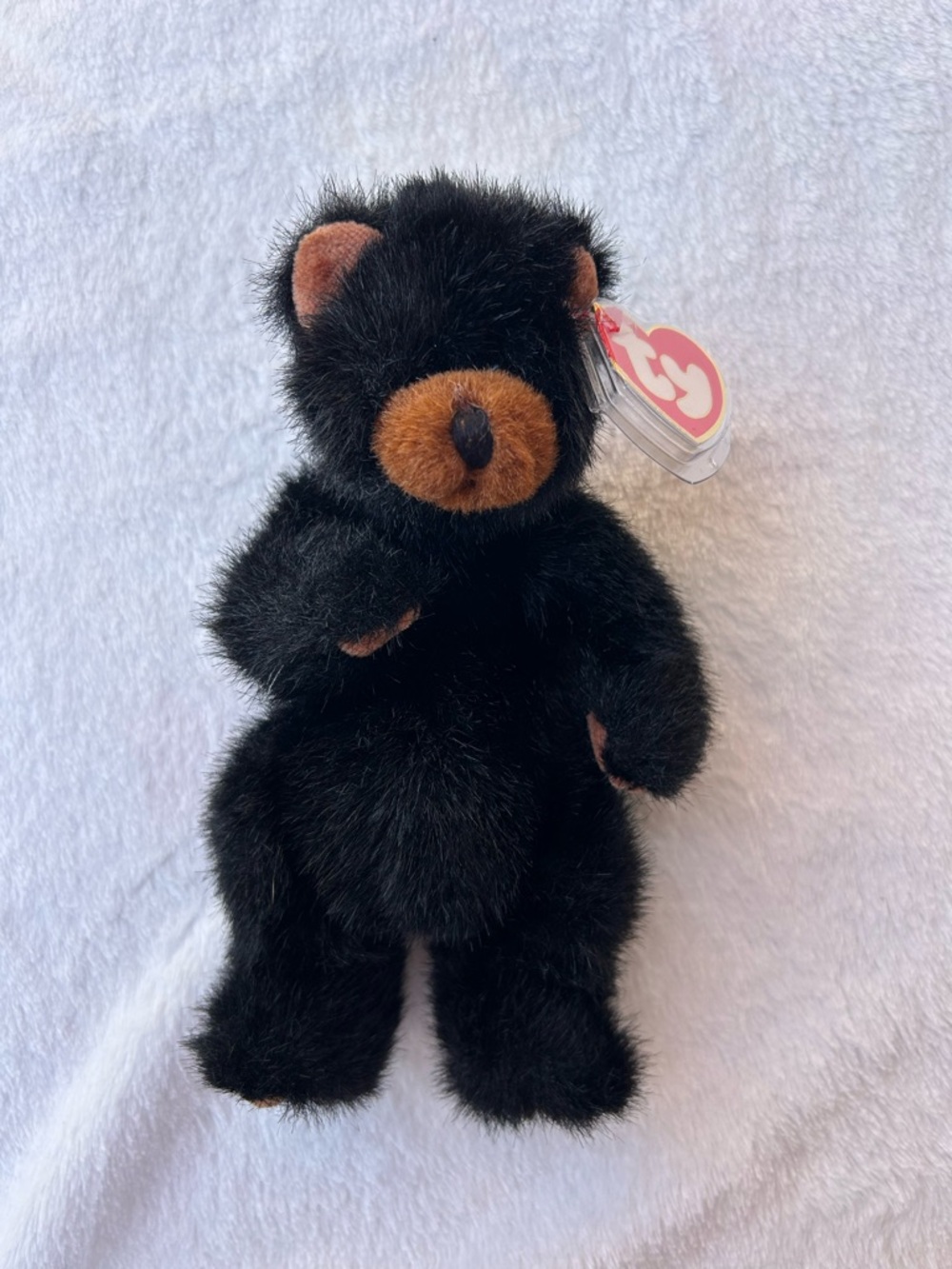 Ty Black Bear Beanie Baby Plush - Black and Brown